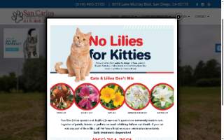 Veterinarian Care Group inc website