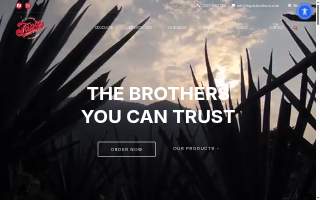 Tapia Trucking Inc website