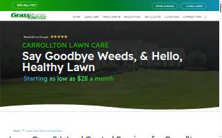 Lawn Love Lawn Care of Columbia website