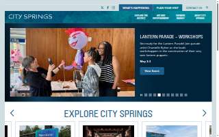 Springs Insurance Brokers website