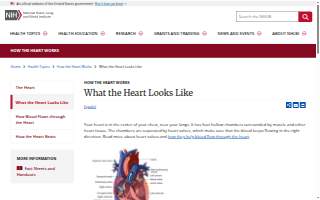 Heart River Animal Hospital of Bismarck website