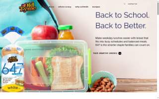 Schmidt's Electrical Enterprise website