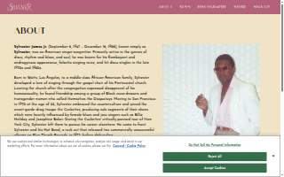 The Sylvester website