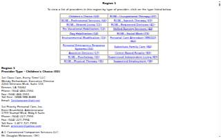 AAA Your Choice website