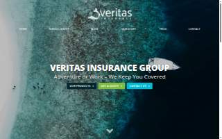 Veritas Insurance Group, Inc. website