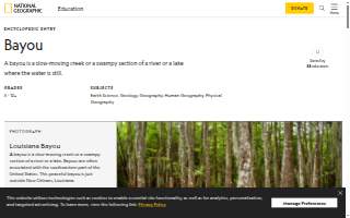 Bayou Bluegrass Catering website
