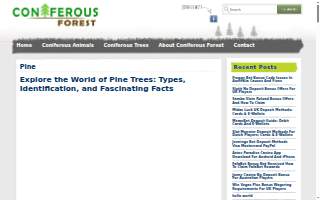 Pine Harbor Advisors website