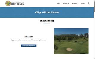 Honolulu Chiropractic Pain Relief Center website