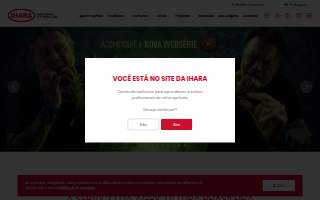 The Ihara Team website