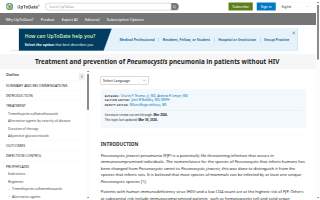 PJP Autos website