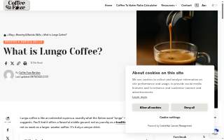 Lungo's Plumbing Services website