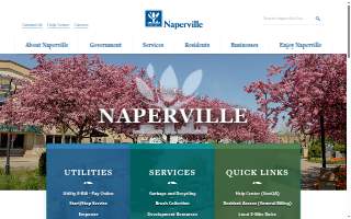 Naperville Family Clinic website