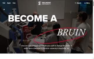 Belmont Shore Veterinary Hospital website