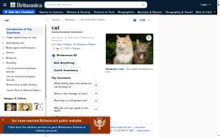 Cats & Dogs Animal Hospital website