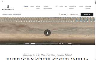 Straycat website