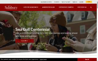 Salisbury Dental Center website