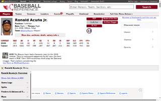 Acuna Real Estate website