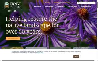 Ernst & Young LLP website