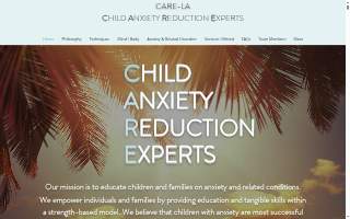 Carela Dealership Llc website