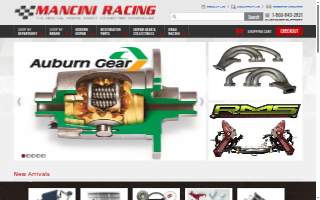 Mancini Welch & Geiger LLP website