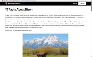 Bison Witches Bar & Deli website
