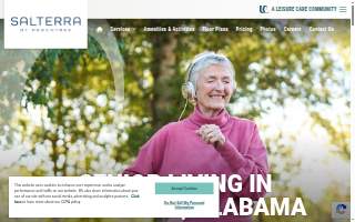 Salterra at Peachtree website