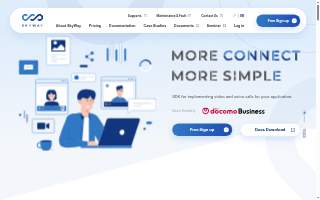 Skyway Builders Inc website