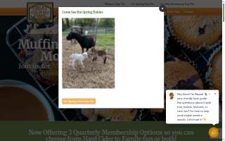 Orchard Hills Pharmacy website