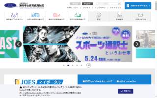 Joes Lounge website