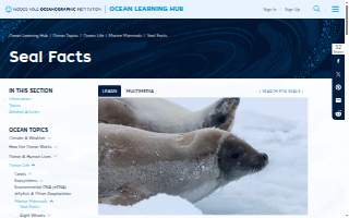 SeaL Electrical Inc website
