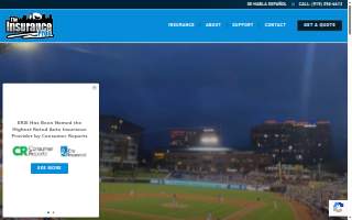The Insurance Pros website