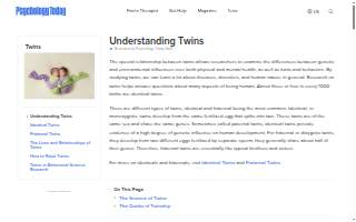 Twin City Diner Catering website