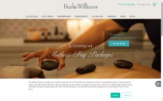 Burke Street Chiropractic website