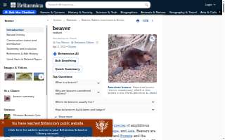 Beaver Courie Attorneys at Law website