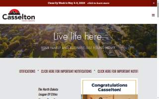 Casselton Veterinary Service, Fargo website