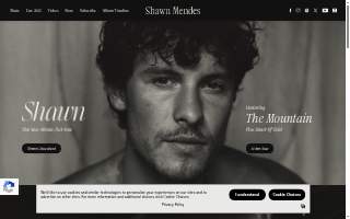 Shawn E. Brown Insurance website