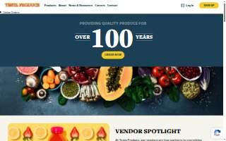 Testa Chiropractic and Wellness Center website