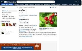 Coffea Roasterie and Espresso Bar website