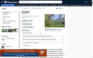 Swamp Bar website