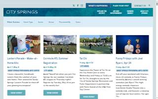 Springs Veterinary Surgery website