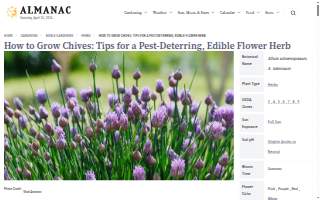 Chives Innovative Catering website