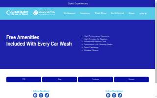 BlueWave Chiropractic website