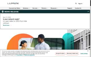 Lumen Brothers Electric Company website