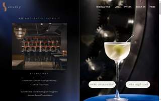 shelby website