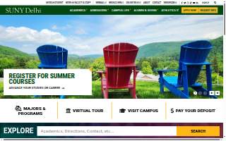 Delhi Chiropractic PLLC website