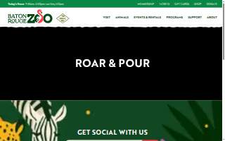 Roar Beauty Parlor Salon website