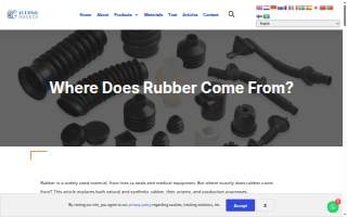 Rubber City Chiropractic (Bath, OH) website