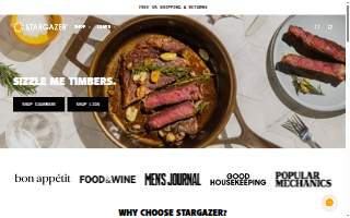 The Stargazer Salon website
