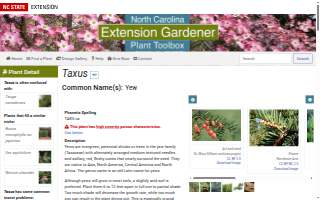 Taxus Street Coffee website