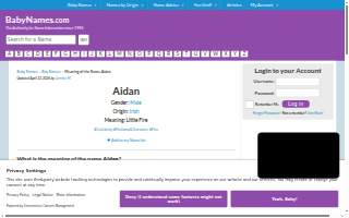 Aidan Car Sales website